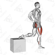 Animated demonstration of one leg squat