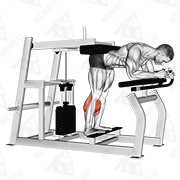 Animated demonstration of lever donkey calf raise