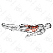 Animated demonstration of bottoms-up