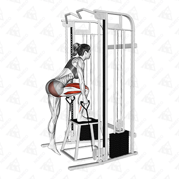 Animated demonstration of Cable step-up