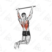 Animated demonstration of rear pull-up