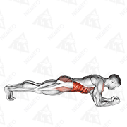 Animated demonstration of front plank with twist