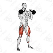 Dimostrazione animata di Squat con kettlebell