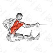 Animated demonstration of band one arm twisting seated row