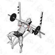 Animated demonstration of barbell reverse grip incline bench press