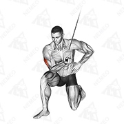 Animated demonstration of cable concentration extension (on knee)