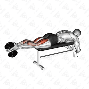 Animated demonstration of Dumbbell lying leg curl