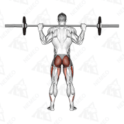 Animated demonstration of barbell full squat (back pov)