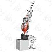 Animated demonstration of band close-grip pulldown