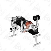 Animated demonstration of dumbbell decline bench press