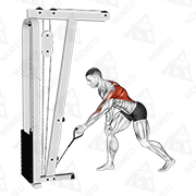 Animated demonstration of cable one arm bent over row