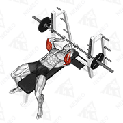 Animated demonstration of barbell lying extension