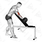 Animated demonstration of dumbbell standing one arm curl over incline bench