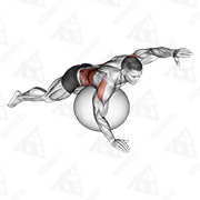 Animated demonstration of exercise ball alternating arm ups