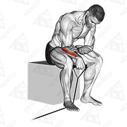 Animated demonstration of band reverse wrist curl