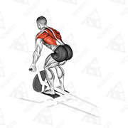 Démonstration animée de l’exercice Barre-T row tirage supination