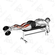 Animated demonstration of dumbbell lying femoral