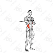 Animated demonstration of band vertical pallof press