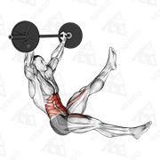 Animated demonstration of barbell sitted alternate leg raise