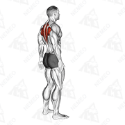 Animated demonstration of upper back stretch