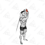Animated demonstration of cable alternate triceps extension
