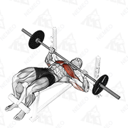 Animated demonstration of barbell decline bench press
