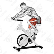 Animated demonstration of stationary bike run
