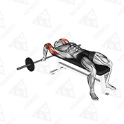 Animated demonstration of barbell lying close-grip triceps extension