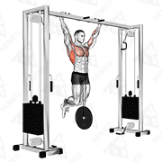 Animated demonstration of weighted pull-up