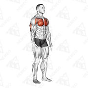Démonstration animée de l’exercice Contraction isométrique des pectoraux