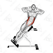 Animated demonstration of 45° side bend