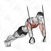 Animated demonstration of suspended push-up