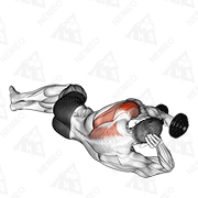 Animated demonstration of dumbbell lying on floor rear delt raise