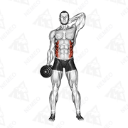 Démonstration animée de l’exercice Flexions latérales avec haltère (Dumbbell Side Bend)