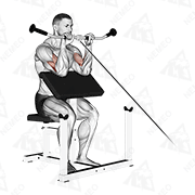 Dimostrazione animata di Curl dei bicipiti supinati sulla puleggia sulla panca Scott