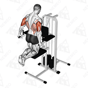 Animated demonstration of assisted triceps dip (kneeling)