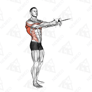 Animated demonstration of cable standing twist row (v-bar)