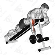 Dimostrazione animata di Spider Curl inclinato con manubri a un braccio