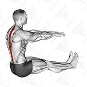 Animated demonstration of spine stretch