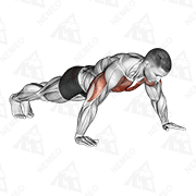 Animated demonstration of wide hand push up