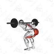 Animated demonstration of barbell stiff leg good morning