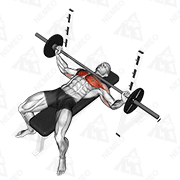 Animated demonstration of barbell wide bench press