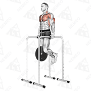 Animated demonstration of weighted triceps dip on high parallel bars