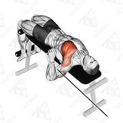 Animated demonstration of cable decline one arm press