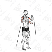 Animated demonstration of cable alternate shoulder press