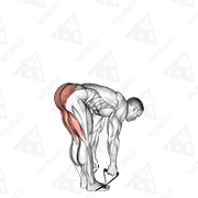 Animated demonstration of band straight leg deadlift