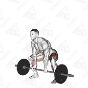 Animated demonstration of barbell sumo deadlift