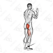Animated demonstration of cable standing hip extension