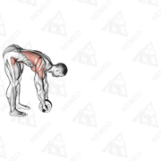 Animated demonstration of standing wheel rollerout
