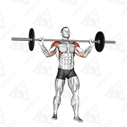 Animated demonstration of barbell standing wide military press